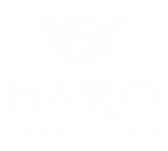 Baro